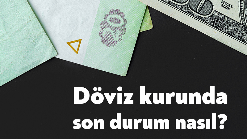 Haftanın dördüncü işlem gününde döviz piyasasında dolar ve euroda hareketlilik