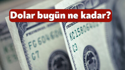 Döviz piyasalarında haftanın ikinci işlem gününde hareketlilik sürüyor. Yatırımcıların ve