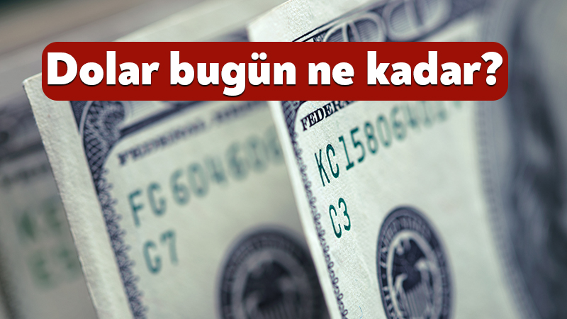 Döviz piyasalarında haftanın ikinci işlem gününde hareketlilik sürüyor. Yatırımcıların ve