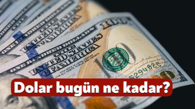 Haftanın son işlem gününde döviz piyasasında hareketlilik yakından takip ediliyor.