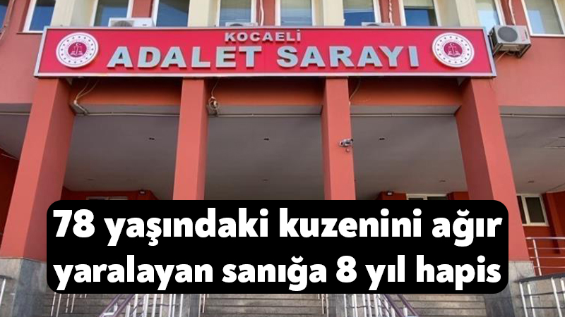 78 yaşındaki kuzenini ağır yaralayan sanığa 8 yıl hapis Kocaeli'de 2022 yılında tarladaki otların biçilmesi meselesi yüzünden çıkan