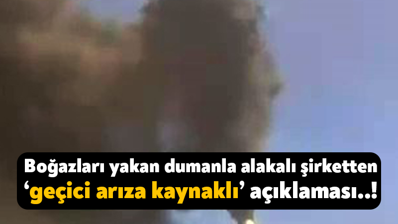 Boğazları yakan dumanla alakalı Turkuaz Polyester’den açıklama: ‘Geçici arıza kaynaklı’ Kocaeli'nin Dilovası ilçesinde bulunan Gebze Kimya İhtisas Organize Sanayi Bölgesi'nde