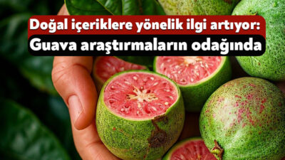 Lif ve flavonoid içeriğiyle öne çıkan guava, tokluk ve yemek