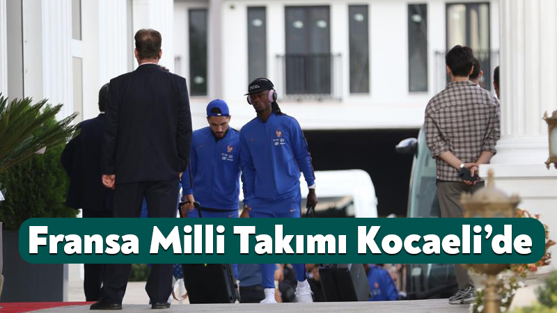 A Milli Futbol Takımı'nın, UEFA Uluslar A Ligi 1. Grup'taki