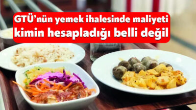 Gebze Teknik Üniversitesinin öğrenci yemeği ihalesinde yaklaşık maliyet hesabının dayanaklarında