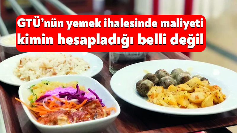 Gebze Teknik Üniversitesinin öğrenci yemeği ihalesinde yaklaşık maliyet hesabının dayanaklarında