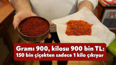 Dünyanın en değerli baharatlarından biri olarak gösterilen safranın gramı 900