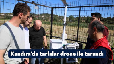 Kocaeli Büyükşehir Belediyesi, İl Tarım ve Orman Müdürlüğü ve MARKA