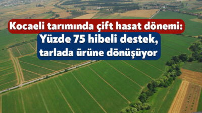 Kocaeli Büyükşehir Belediyesi tarafından üreticilere yüzde 75 hibe desteğiyle sağlanan