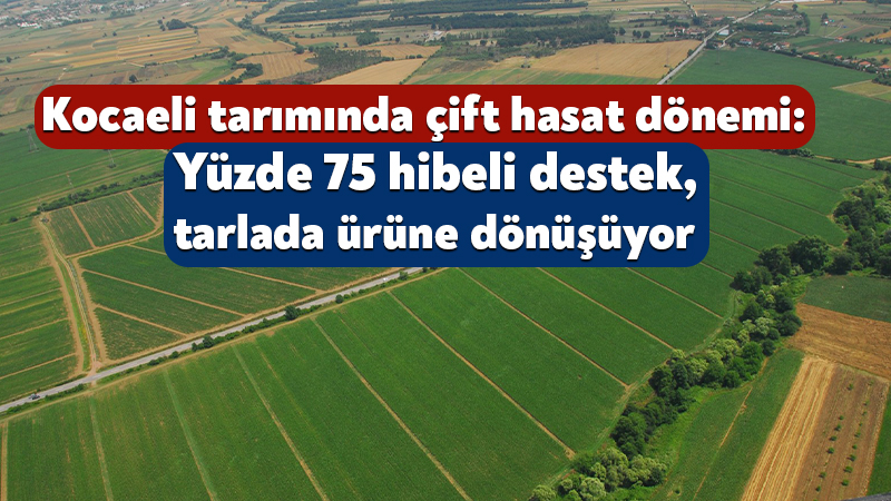 Kocaeli Büyükşehir Belediyesi tarafından üreticilere yüzde 75 hibe desteğiyle sağlanan
