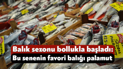 Denizlerde av yasağının sona ermesiyle birlikte Kocaeli'de balık tezgahları yeniden