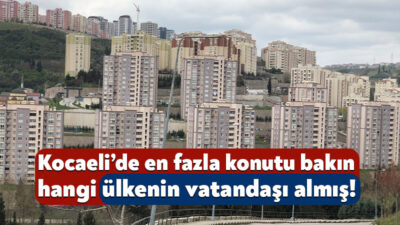 TÜİK, Kocaeli’deki ağustos ayı konut ve işyeri satışlarının verilerini yayınladı.