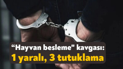 Kocaeli'nin Körfez ilçesinde mahallede büyükbaş ve küçükbaş hayvan beslenmesi nedeniyle