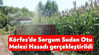 Körfez’de tarımsal üretimin ve kaliteli kaba yem kaynaklarının geliştirilmesine yönelik
