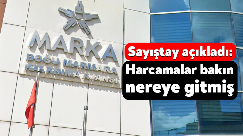 Doğu Marmara Kalkınma Ajansının 2025 yılında yaptığı 132,3 milyon liralık