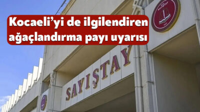 Sayıştay, Orman Genel Müdürlüğünün bazı ağaçlandırma gelirlerini takip ve tahsil