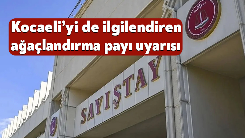 Sayıştay, Orman Genel Müdürlüğünün bazı ağaçlandırma gelirlerini takip ve tahsil
