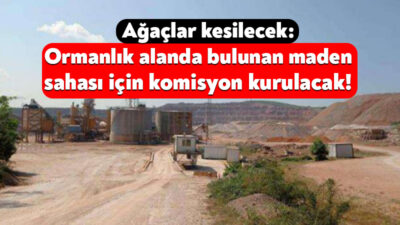 Simge Mat Madencilik Şirketi, Körfez’deki ormanlık alanda gerçekleştirdiği kalker ocağını