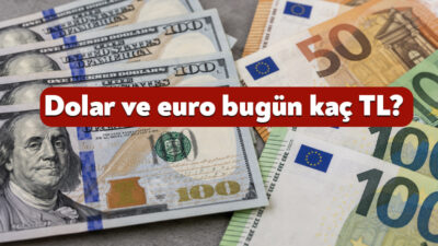 13 Ekim Salı sabahı doların satış kuru 49,37 TL, euronun
