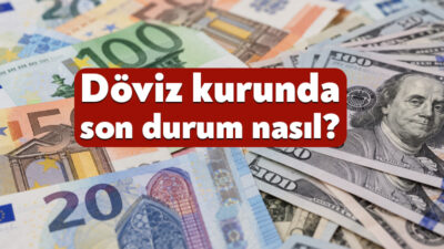 2 Ekim 2026 Cuma sabahında doların satış fiyatı 49,15 TL,
