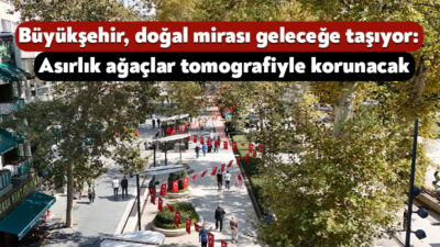 Kocaeli Büyükşehir Belediyesi, kentin doğal mirası niteliğindeki anıt ağaçların korunması