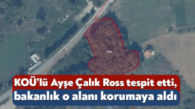 Kocaeli Üniversitesi’nde görevli akademisyenlerden Prof. Dr. Ayşe Çalık Ross, İzmit’in
