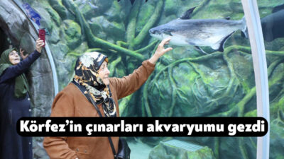Körfez Belediyesi 60+ Aktif Yaşlanma Merkezi üyeleri, düzenlenen etkinlik kapsamında